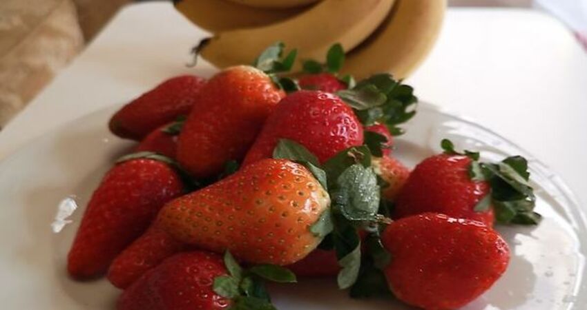 Cappadocia Panda Hostel