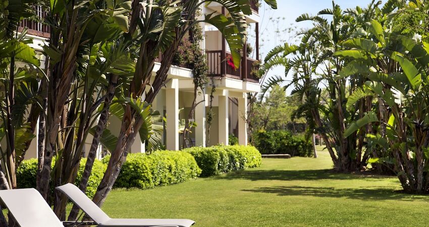 Lara Barut Collection - All Inclusive