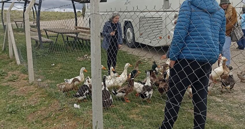 YHT ile  GÜL MEVSİMİNDE TOROSLARDA ORMANA DÜĞMELİ EVLER TURU& GÖLLER  YÖRESİ